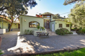 Finca Dinastia- Vega de San Mateo